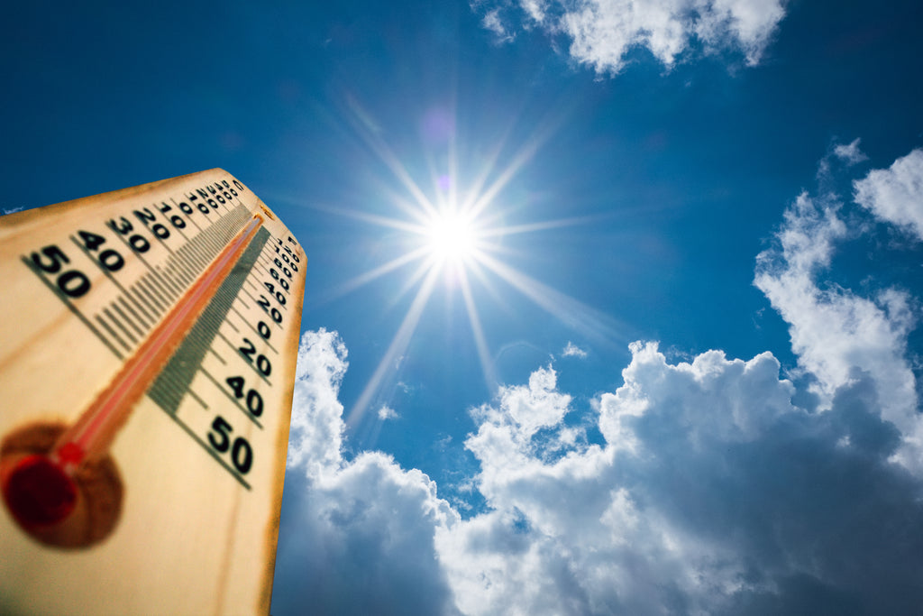 August 2020 - Real Estate Review for Greater Vancouver and Fraser Valley